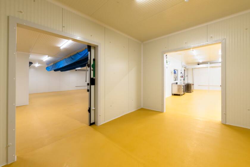Gallery item